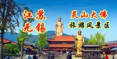 www.逼逼逼逼江苏无锡灵山大佛旅游风景区